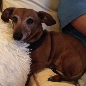 Meet your Posher, Margaret